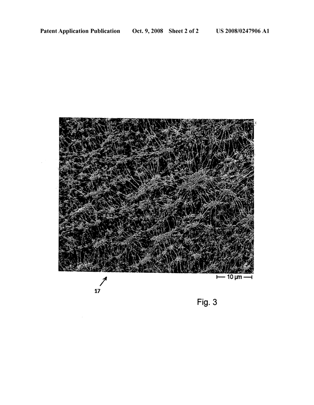 Luminescence Sensor for Determining and/or Monitoring an Analyte that is Contained in a Fluidic Process Medium - diagram, schematic, and image 03