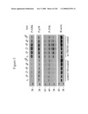 Inflammation treatment, detection and monitoring via TREM-1 diagram and image