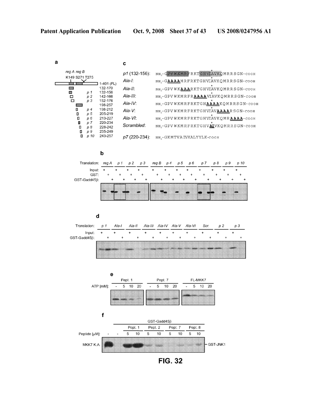 IDENTIFICATION OF NOVEL FACTORS THAT BLOCK PROGRAMMED CELL DEATH OR APOPTOSIS BY TARGETING JNK - diagram, schematic, and image 38