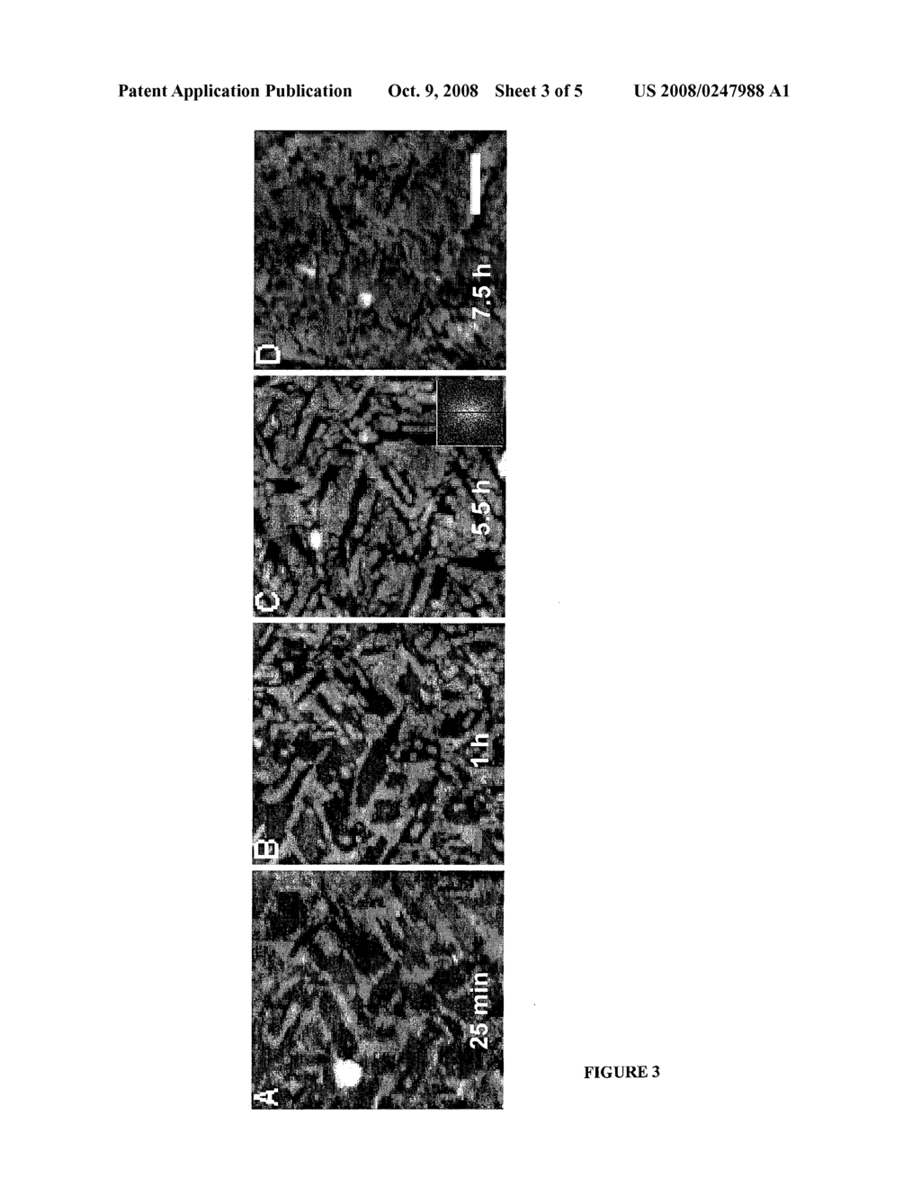 METHODS OF MAKING AND USING SURFACTANT POLYMERS - diagram, schematic, and image 04