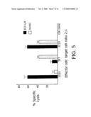 ANTI-ANGIOGENIC CELLULAR AGENT FOR CANCER THERAPY diagram and image