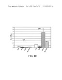 REGULATION OF ACHERON EXPRESSION diagram and image