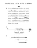 THERAPEUTIC AGENT FOR CANCER, INFLAMMATION, AND AUTO-IMMUNE DISEASE CONTAINING INHIBITOR OF ZINC FINGER PROTEIN 91 diagram and image