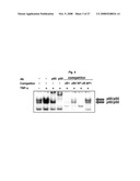 THERAPEUTIC AGENT FOR CANCER, INFLAMMATION, AND AUTO-IMMUNE DISEASE CONTAINING INHIBITOR OF ZINC FINGER PROTEIN 91 diagram and image