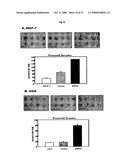 THERAPEUTIC AGENT FOR CANCER, INFLAMMATION, AND AUTO-IMMUNE DISEASE CONTAINING INHIBITOR OF ZINC FINGER PROTEIN 91 diagram and image