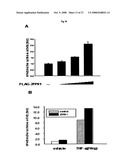 THERAPEUTIC AGENT FOR CANCER, INFLAMMATION, AND AUTO-IMMUNE DISEASE CONTAINING INHIBITOR OF ZINC FINGER PROTEIN 91 diagram and image