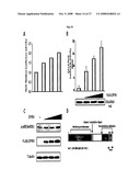 THERAPEUTIC AGENT FOR CANCER, INFLAMMATION, AND AUTO-IMMUNE DISEASE CONTAINING INHIBITOR OF ZINC FINGER PROTEIN 91 diagram and image