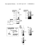 THERAPEUTIC AGENT FOR CANCER, INFLAMMATION, AND AUTO-IMMUNE DISEASE CONTAINING INHIBITOR OF ZINC FINGER PROTEIN 91 diagram and image