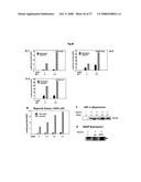 THERAPEUTIC AGENT FOR CANCER, INFLAMMATION, AND AUTO-IMMUNE DISEASE CONTAINING INHIBITOR OF ZINC FINGER PROTEIN 91 diagram and image