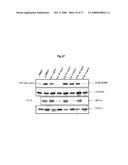 THERAPEUTIC AGENT FOR CANCER, INFLAMMATION, AND AUTO-IMMUNE DISEASE CONTAINING INHIBITOR OF ZINC FINGER PROTEIN 91 diagram and image