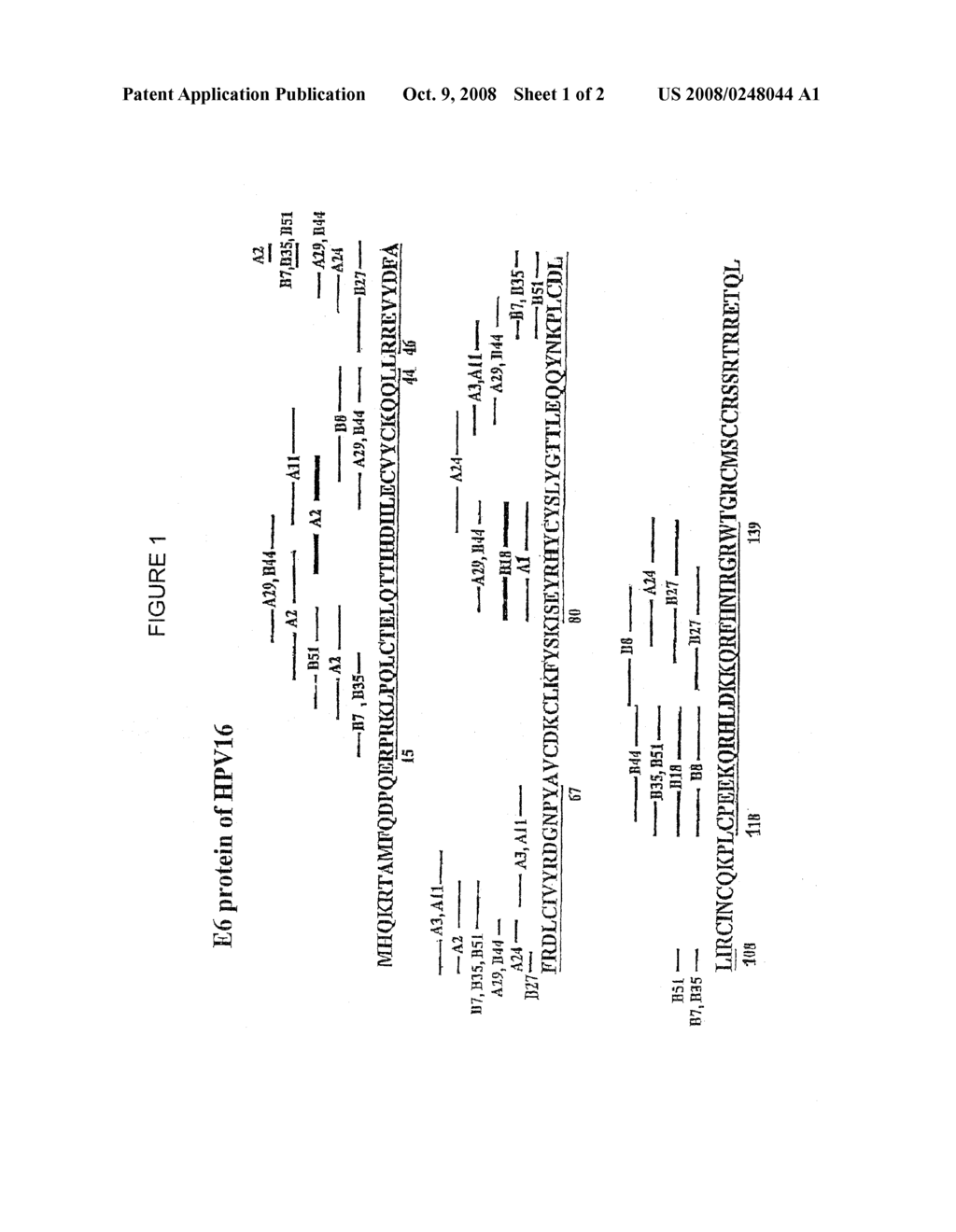 POLYEPITOPIC PROTEIN FRAGMENTS OF THE E6 AND E7 PROTEINS OF HPV, THEIR PRODUCTION AND THEIR USE PARTICULARLY IN VACCINATION - diagram, schematic, and image 02