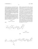 MONOMETHYLVALINE COMPOUNDS CAPABLE OF CONJUGATION TO LIGANDS diagram and image