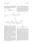 MONOMETHYLVALINE COMPOUNDS CAPABLE OF CONJUGATION TO LIGANDS diagram and image