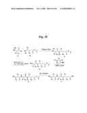 MONOMETHYLVALINE COMPOUNDS CAPABLE OF CONJUGATION TO LIGANDS diagram and image