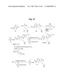 MONOMETHYLVALINE COMPOUNDS CAPABLE OF CONJUGATION TO LIGANDS diagram and image