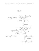 MONOMETHYLVALINE COMPOUNDS CAPABLE OF CONJUGATION TO LIGANDS diagram and image