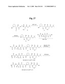 MONOMETHYLVALINE COMPOUNDS CAPABLE OF CONJUGATION TO LIGANDS diagram and image