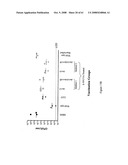 Modified free-living microbes, vaccine compositions and methods of use thereof diagram and image