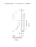 Modified free-living microbes, vaccine compositions and methods of use thereof diagram and image