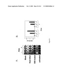 Modified free-living microbes, vaccine compositions and methods of use thereof diagram and image