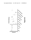 Modified free-living microbes, vaccine compositions and methods of use thereof diagram and image