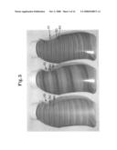 Opaque multi-phase dentifrice with coils diagram and image