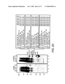 Purification, Characterization and Reconstitution of a Ubiquitin E3 Ligase diagram and image