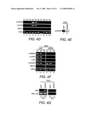 Purification, Characterization and Reconstitution of a Ubiquitin E3 Ligase diagram and image