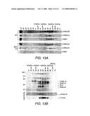 Purification, Characterization and Reconstitution of a Ubiquitin E3 Ligase diagram and image