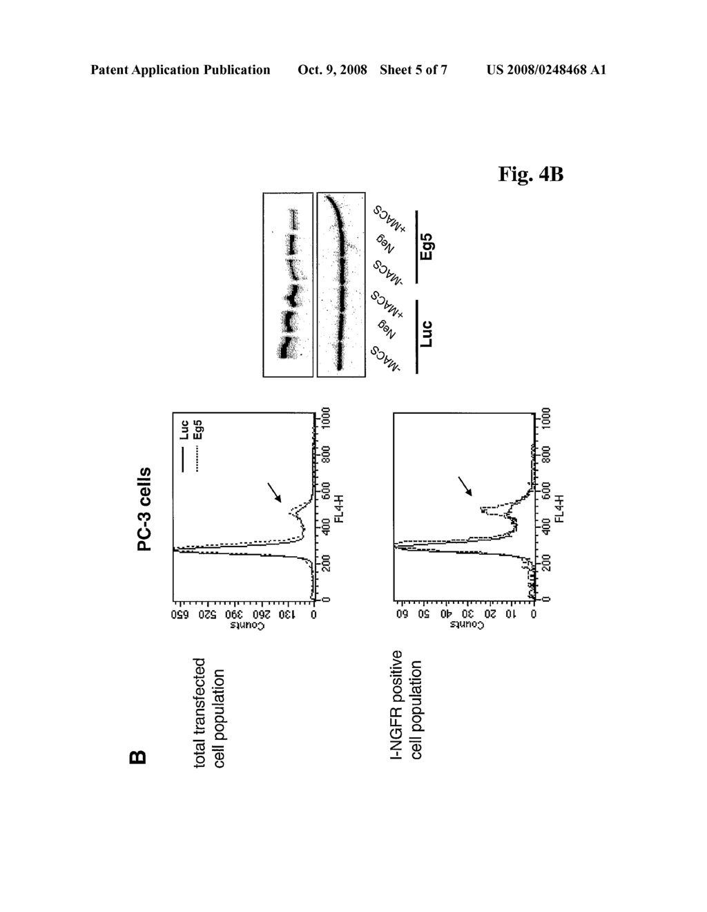 Method for Improved Selection of Rnai Transfectants - diagram, schematic, and image 06