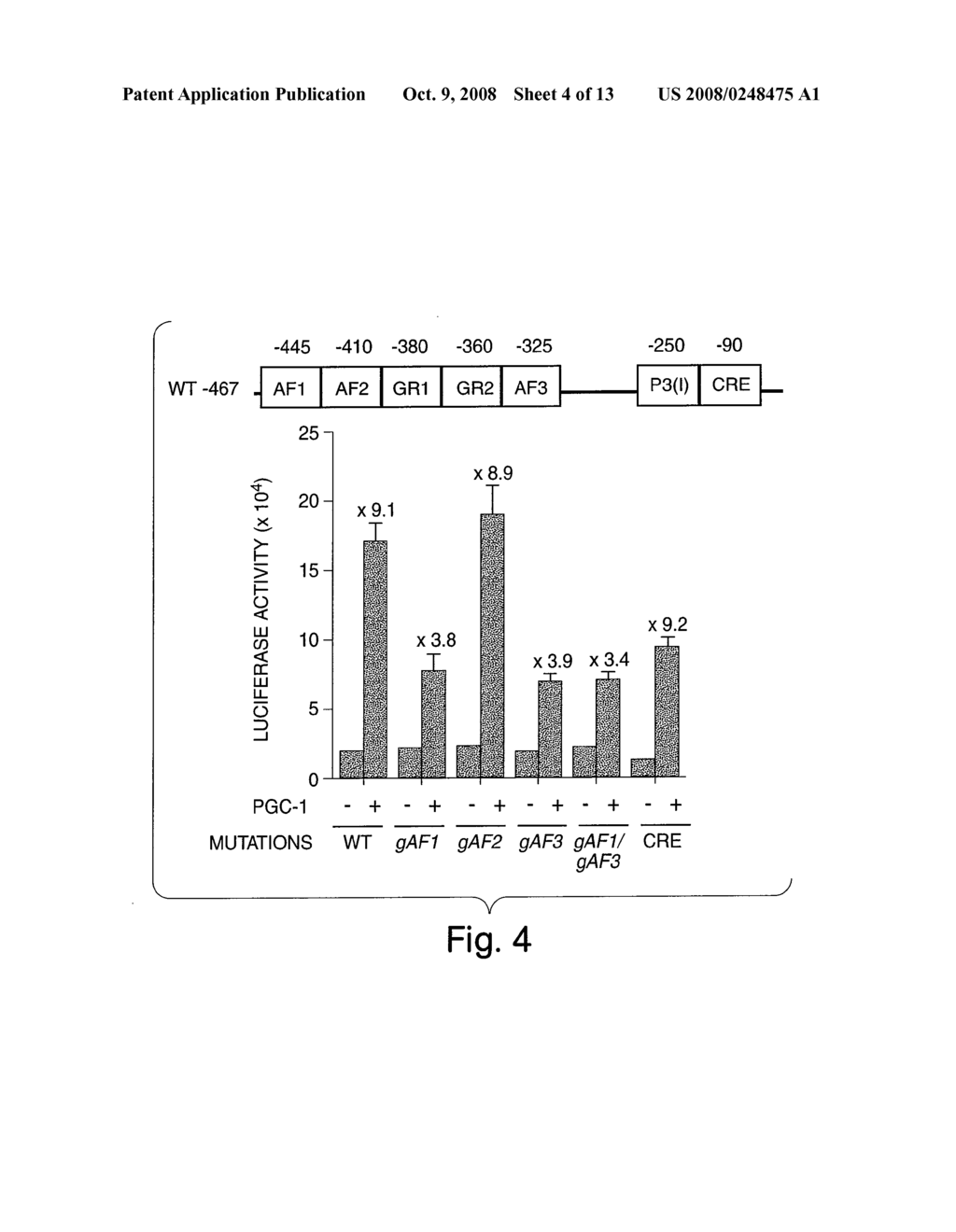 Methods and Compositions for Modulating Gluconeogenesis Using PGC-1 - diagram, schematic, and image 05