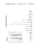 Reagents for the detection of protein phosphorylation in Leukemia signaling pathways diagram and image