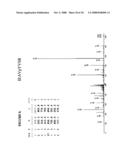 Reagents for the detection of protein phosphorylation in Leukemia signaling pathways diagram and image