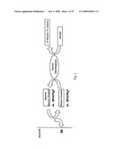 ELECTROCHEMICAL METHOD FOR GLUCOSE QUANTIFICATION, GLUCOSE DEHYDROGENASE COMPOSITION, AND ELECTROCHEMICAL SENSOR FOR GLUCOSE MEASUREMENT diagram and image