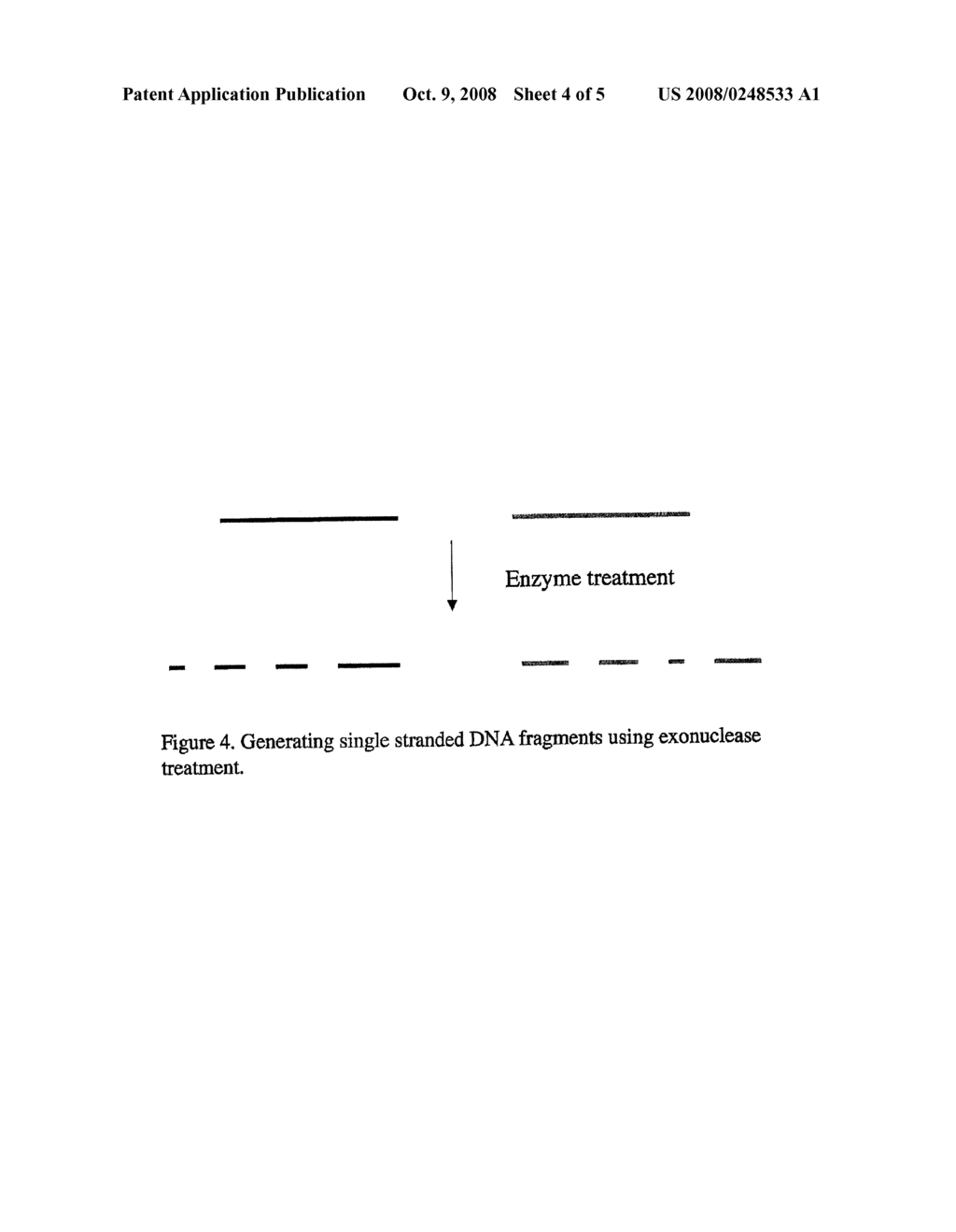  METHOD FOR IN VITRO MOLECULAR EVOLUTION OF PROTEIN FUNCTION - diagram, schematic, and image 05