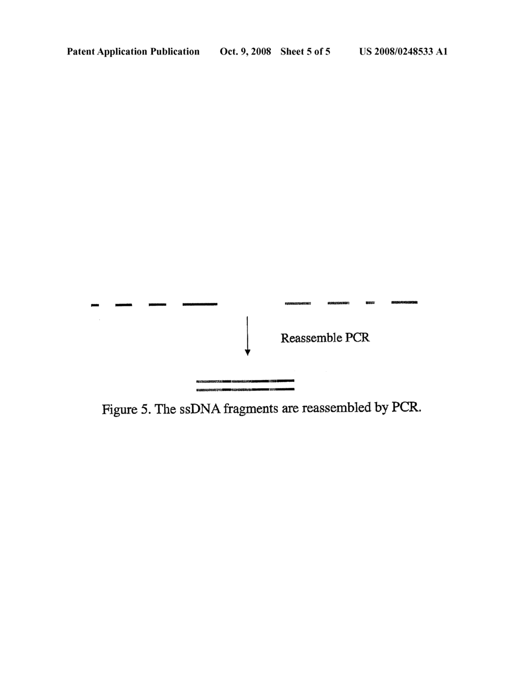  METHOD FOR IN VITRO MOLECULAR EVOLUTION OF PROTEIN FUNCTION - diagram, schematic, and image 06