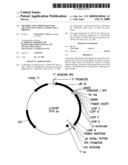 Methods And Compositions For Grafting Functional Loops Into A Protein diagram and image