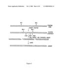 Methods And Compositions For Grafting Functional Loops Into A Protein diagram and image