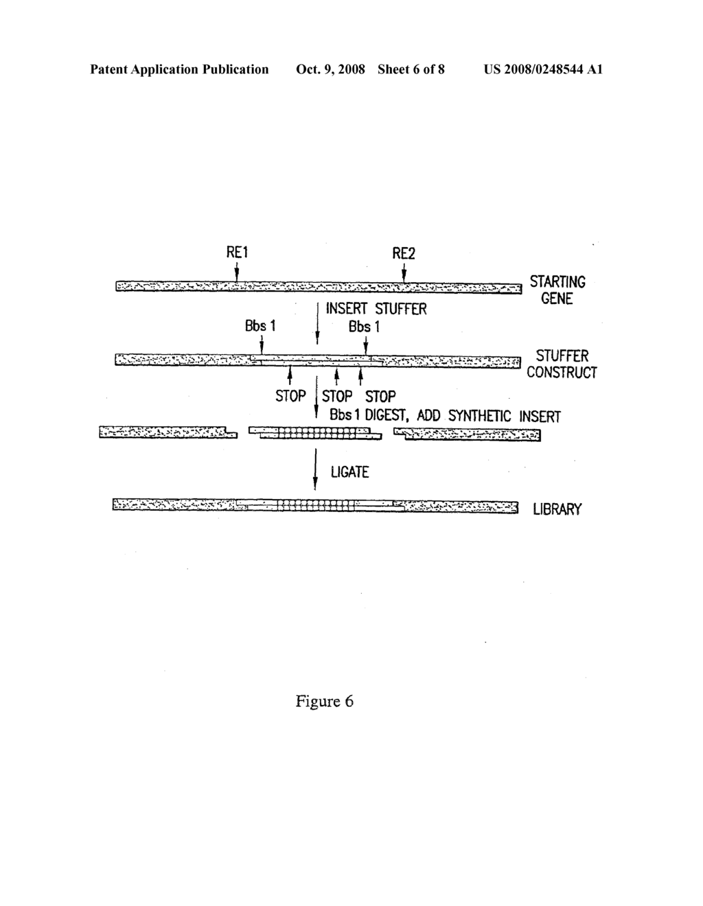 Methods And Compositions For Grafting Functional Loops Into A Protein - diagram, schematic, and image 07