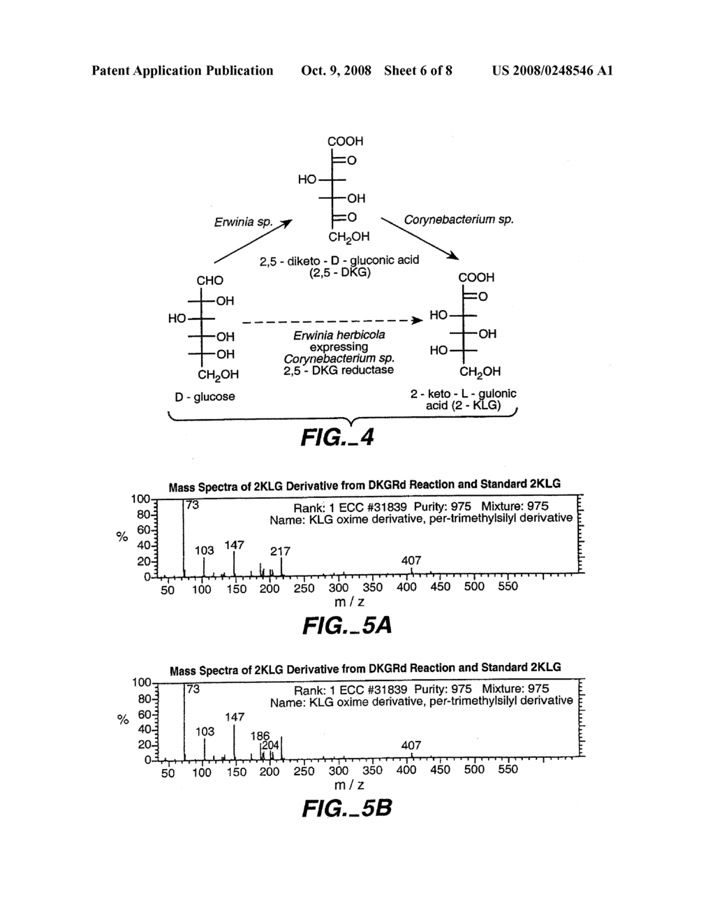 Mutant 2,5-diketo-L-gluconic acid reductases - diagram, schematic, and image 07