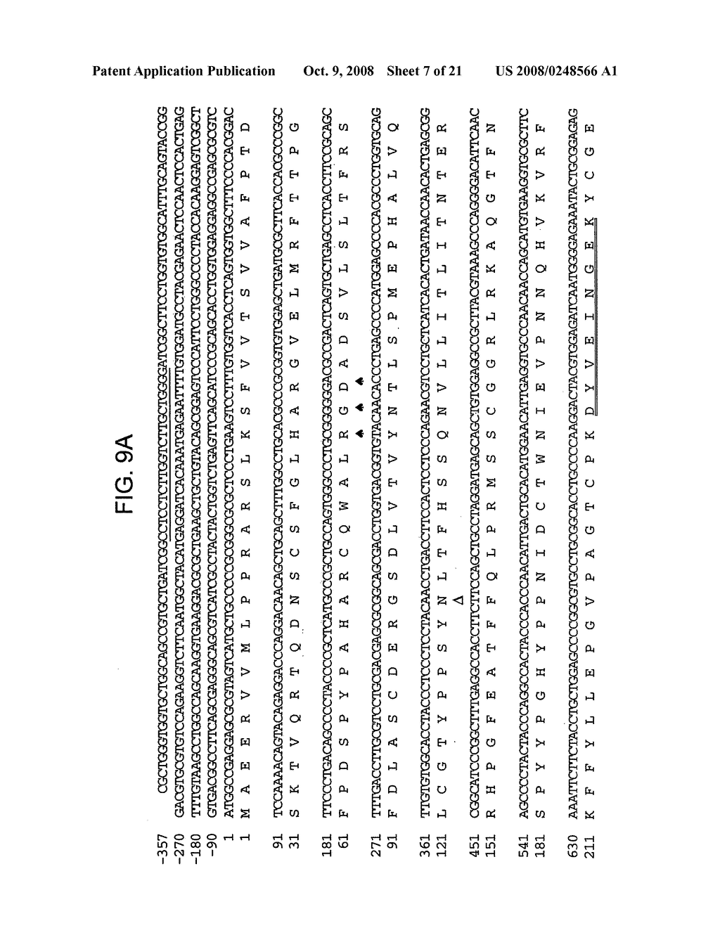 MATRIPTASE, A SERINE PROTEASE AND ITS APPLICATIONS - diagram, schematic, and image 08