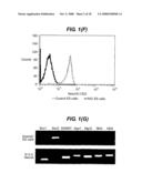 Directed Neural Differentiation diagram and image