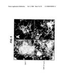 Directed Neural Differentiation diagram and image