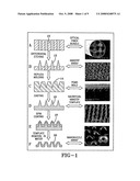 Drug and Gene Delivery by Polymer Nanonozzle and Nanotip Cell Patch diagram and image