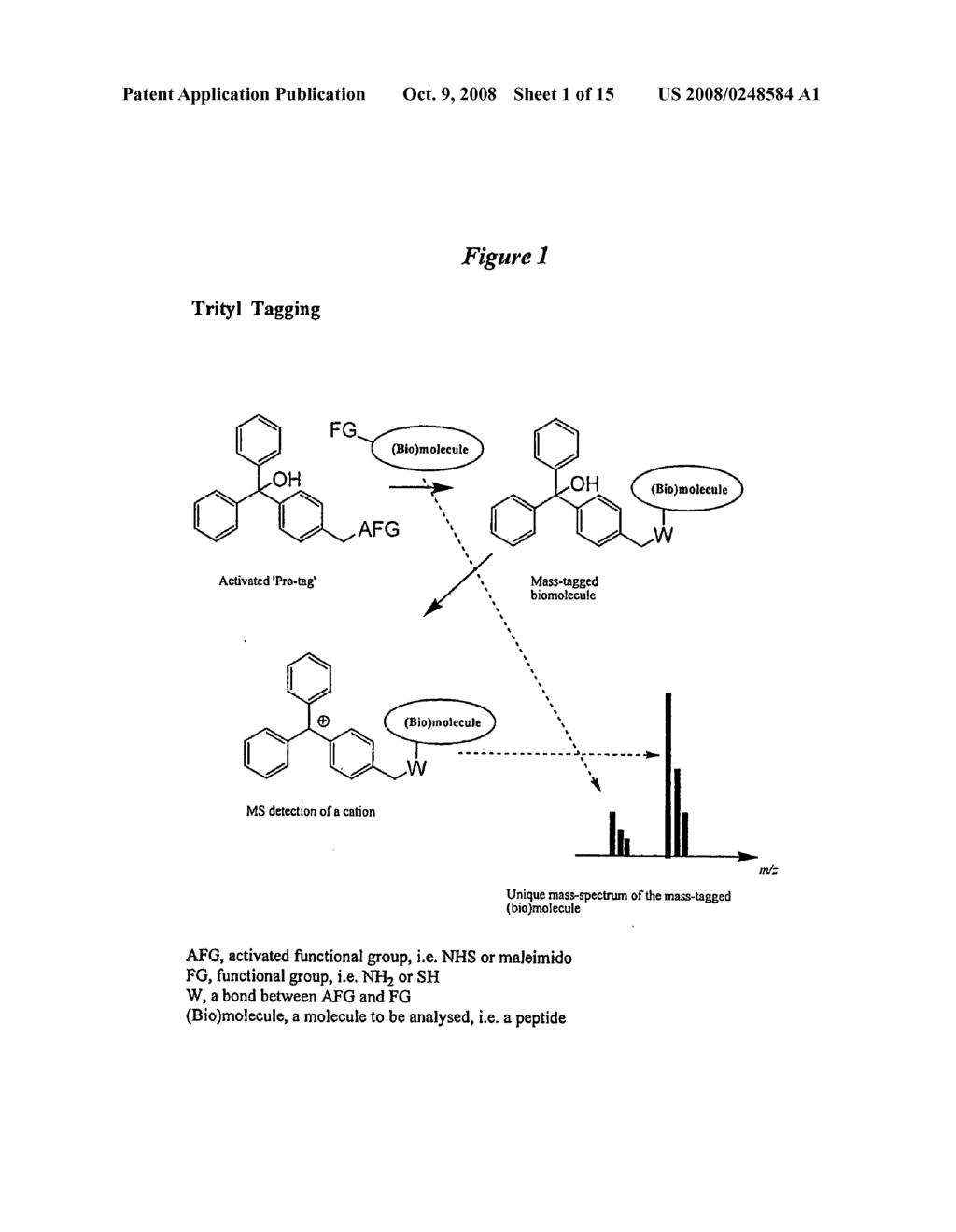 Trityl derivatives for enhancing mass spectrometry - diagram, schematic, and image 02
