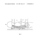 Therapeutic Neutral Spine and Exercise Device and Method of Applying Same diagram and image