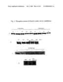 INCREASING LIFE SPAN BY MODULATION OF Smek diagram and image