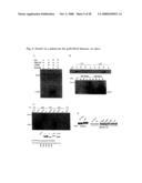 INCREASING LIFE SPAN BY MODULATION OF Smek diagram and image