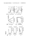 All-Trans-Retinol: All-Trans-13,14-Dihydroretinol Saturase and Methods of Its Use diagram and image