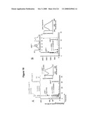 All-Trans-Retinol: All-Trans-13,14-Dihydroretinol Saturase and Methods of Its Use diagram and image